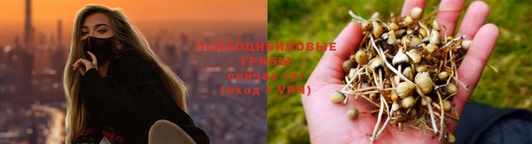 кокс Покачи