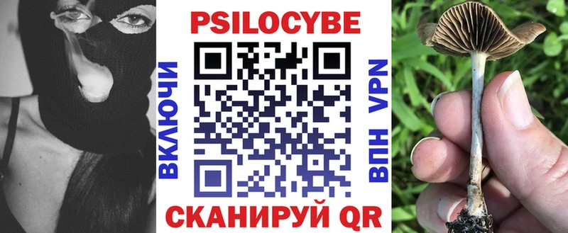купить закладку  Гусиноозёрск  hydra tor  Псилоцибиновые грибы мицелий 